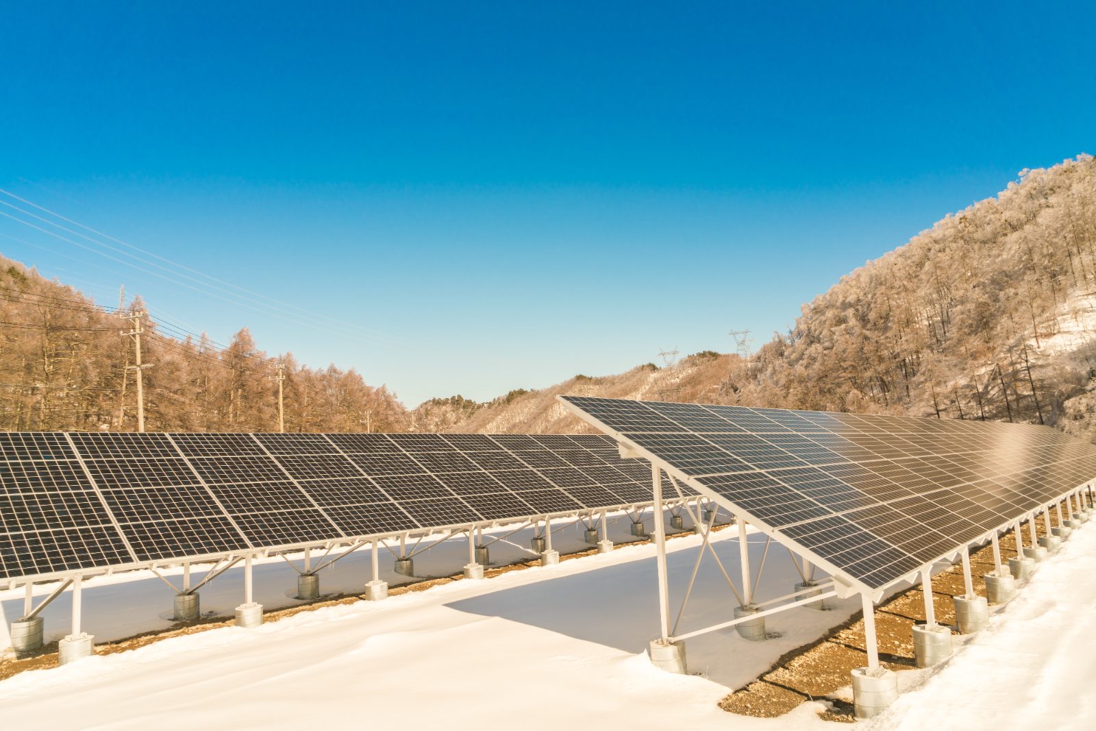 Cuánta energía produce un panel solar al día